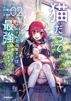 猫だってアイテムを収集すれば最強になれます!