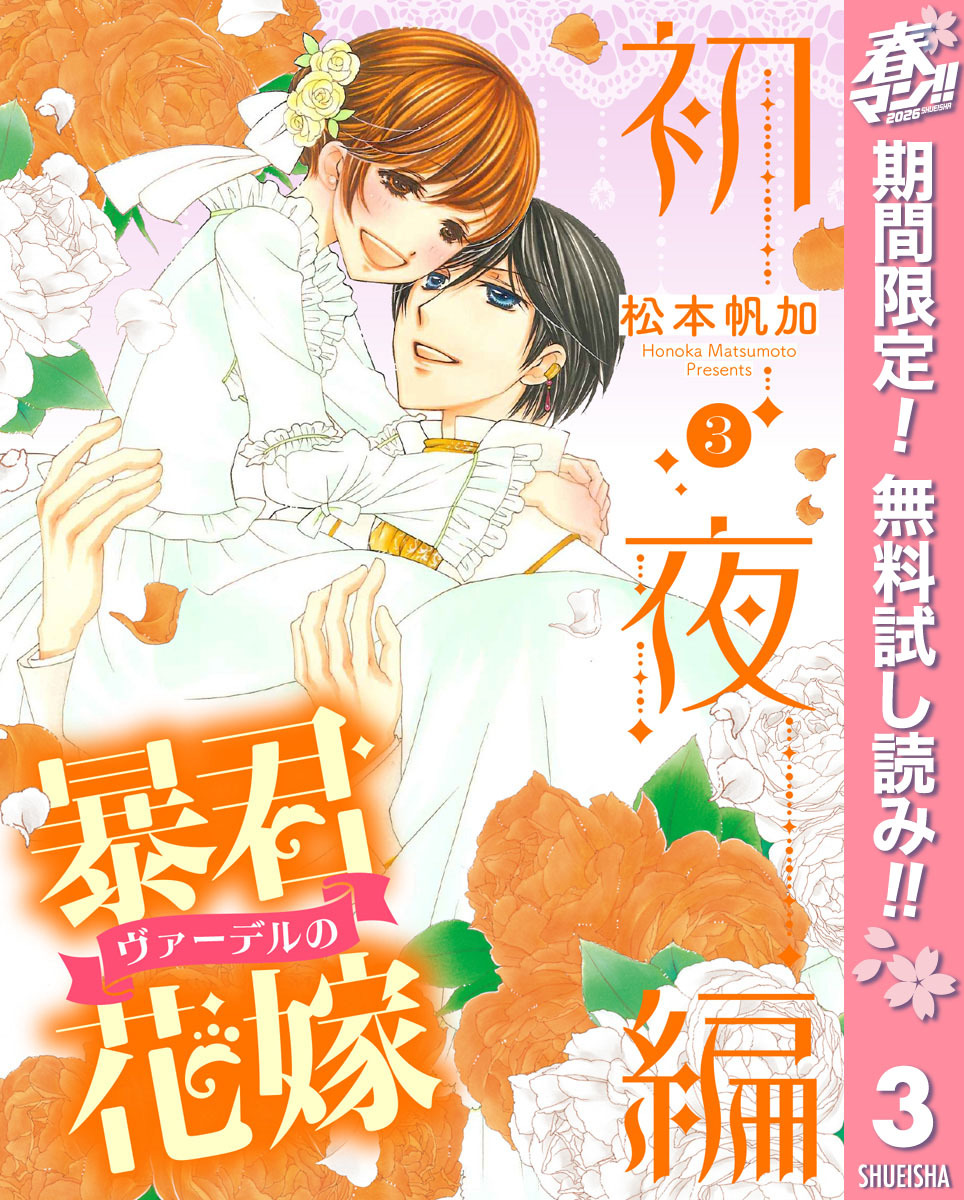 暴君ヴァーデルの花嫁 初夜編【期間限定無料】 3