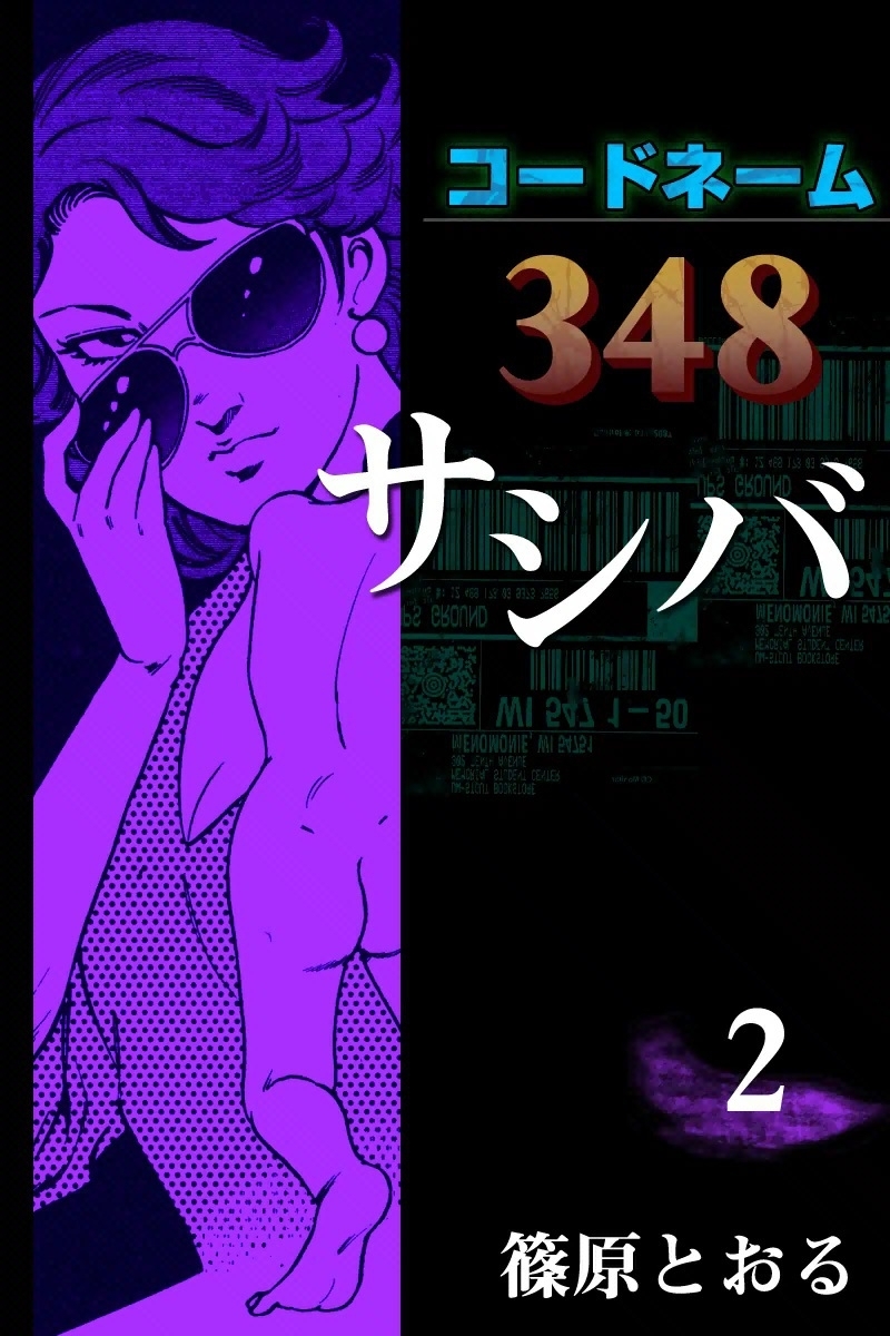 コードネーム348 サシバ　（2）