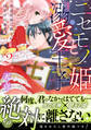 ニセモノ姫と溺愛王子~氷の仮面に隠された10年目の渇愛~2【描き下ろし番外編つき】