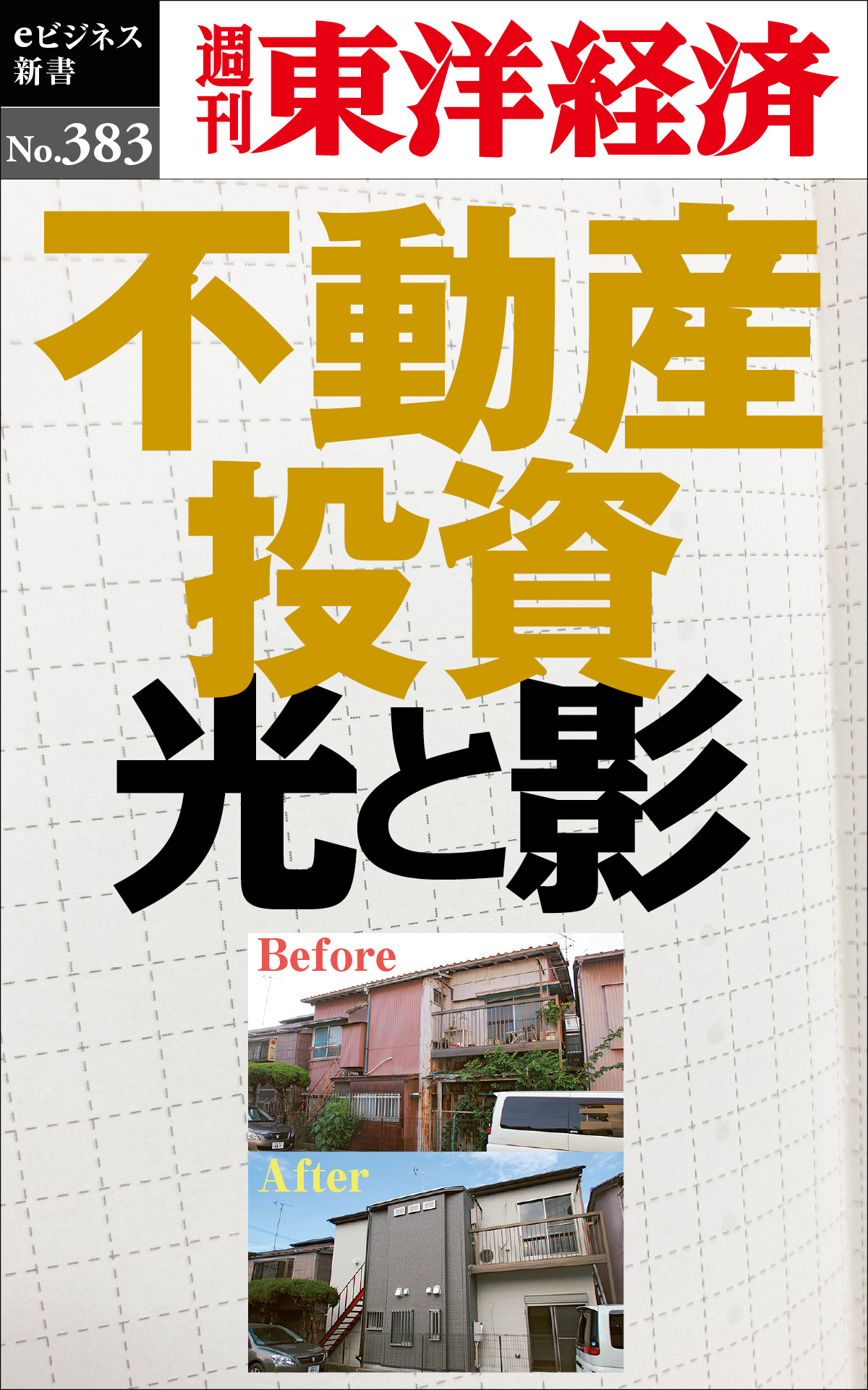 不動産投資　光と影―週刊東洋経済ｅビジネス新書Ｎo.383