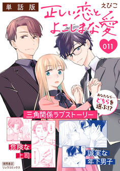 正しい恋とよこしまな愛【単話版】(11)