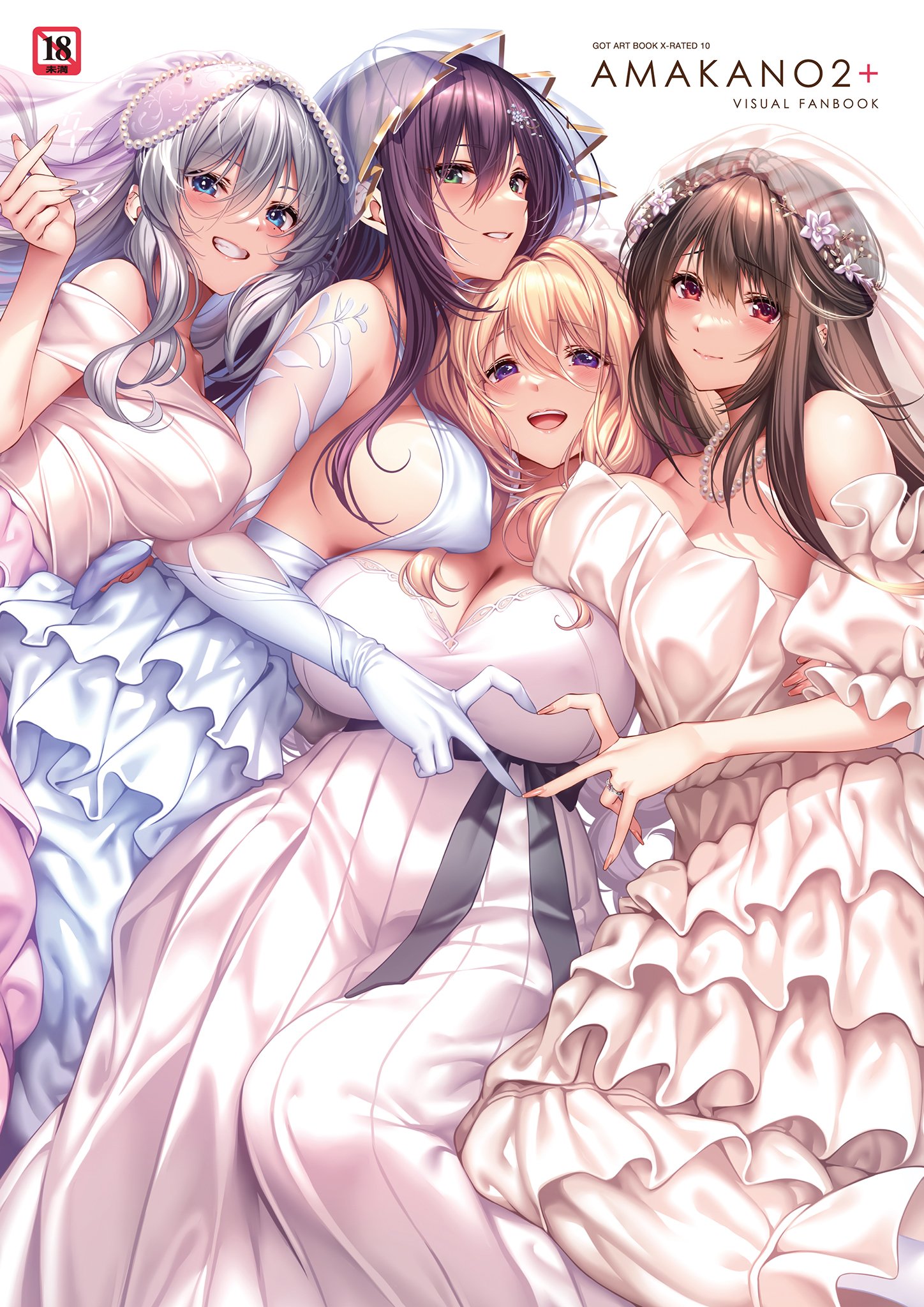 アマカノ2+ ビジュアルファンブック