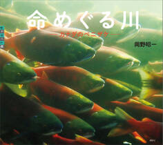 命めぐる川 カナダのベニザケ