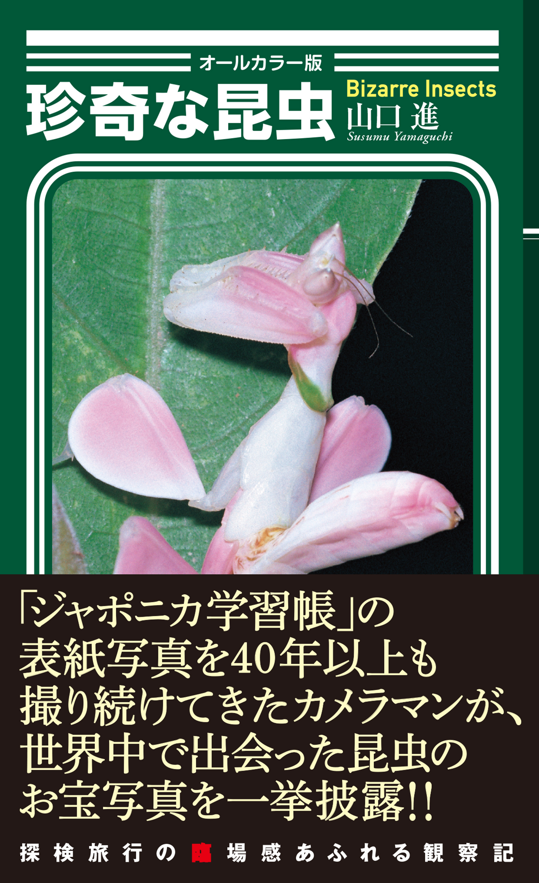 〈オールカラー版〉珍奇な昆虫