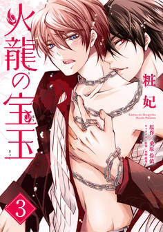 火龍の宝玉(3)