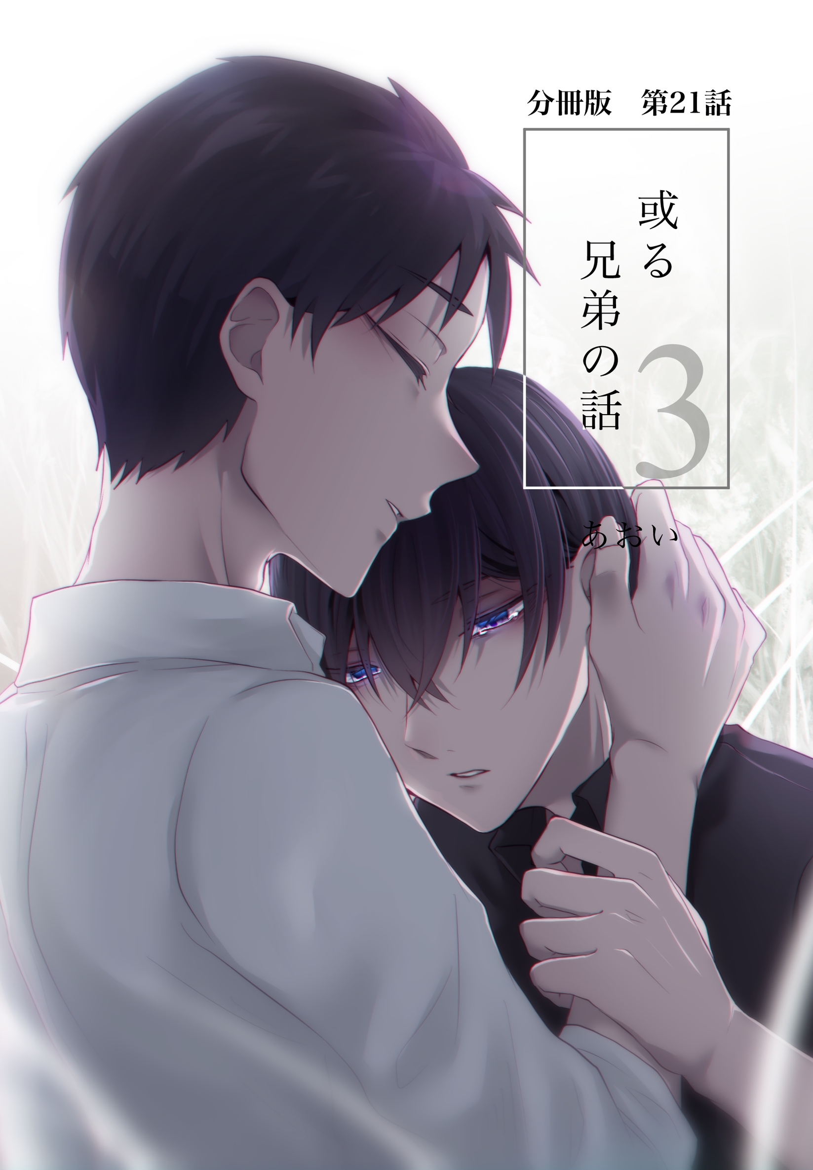 【分冊版】或る兄弟の話