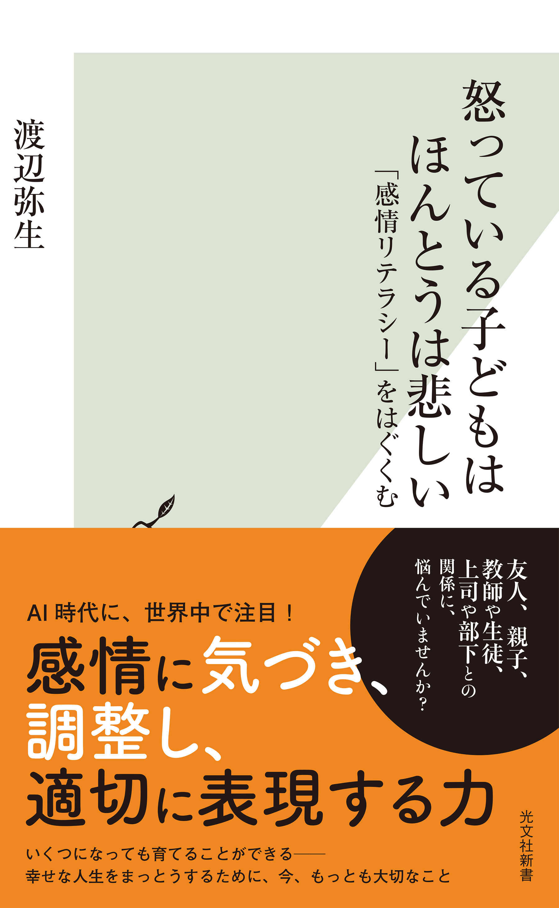 怒っている子どもはほんとうは悲しい～「感情リテラシー」をはぐくむ～