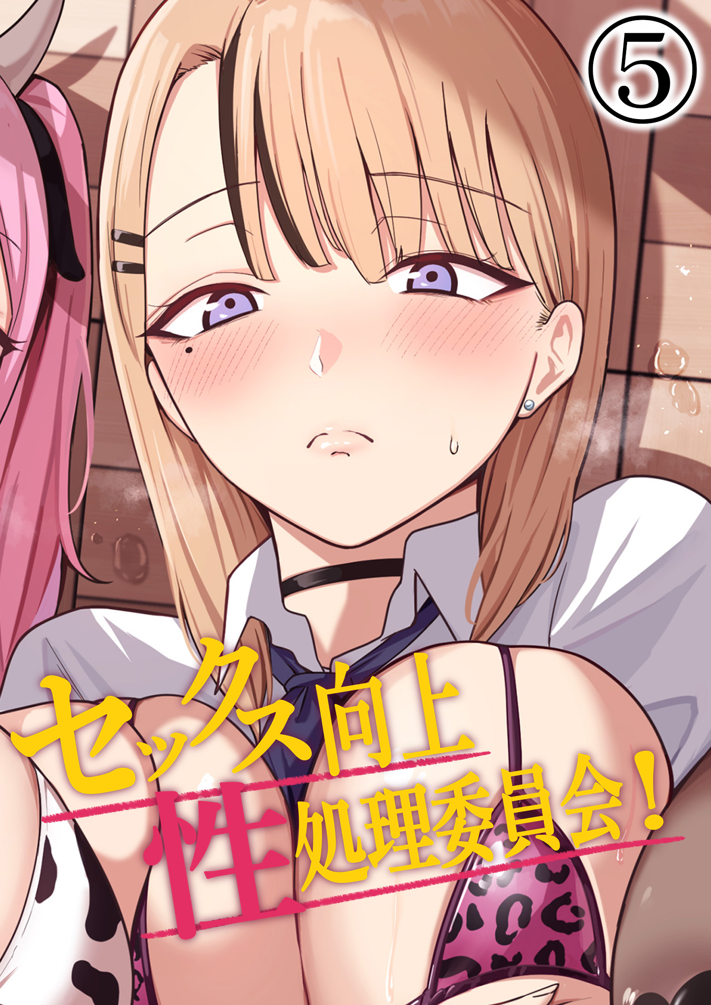 セックス向上性処理委員会！5