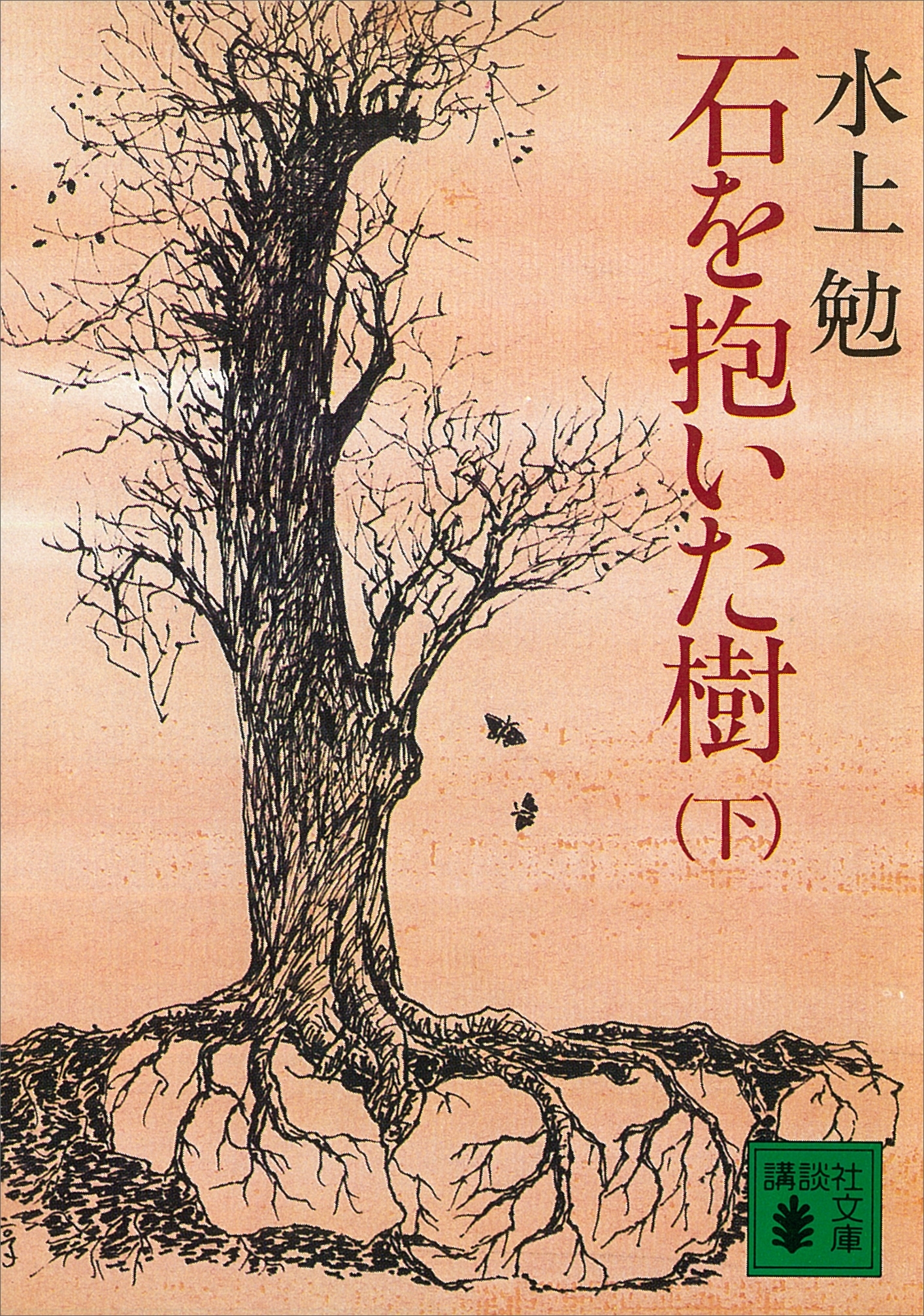 石を抱いた樹