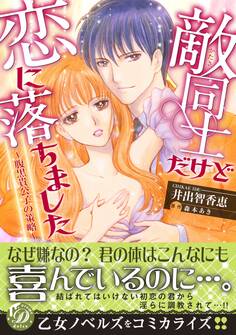 敵同士だけど恋に落ちました~腹黒貴公子の策略~