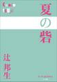 P+D BOOKS 夏の砦