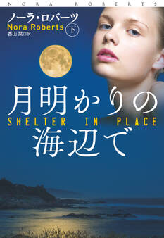 月明かりの海辺で