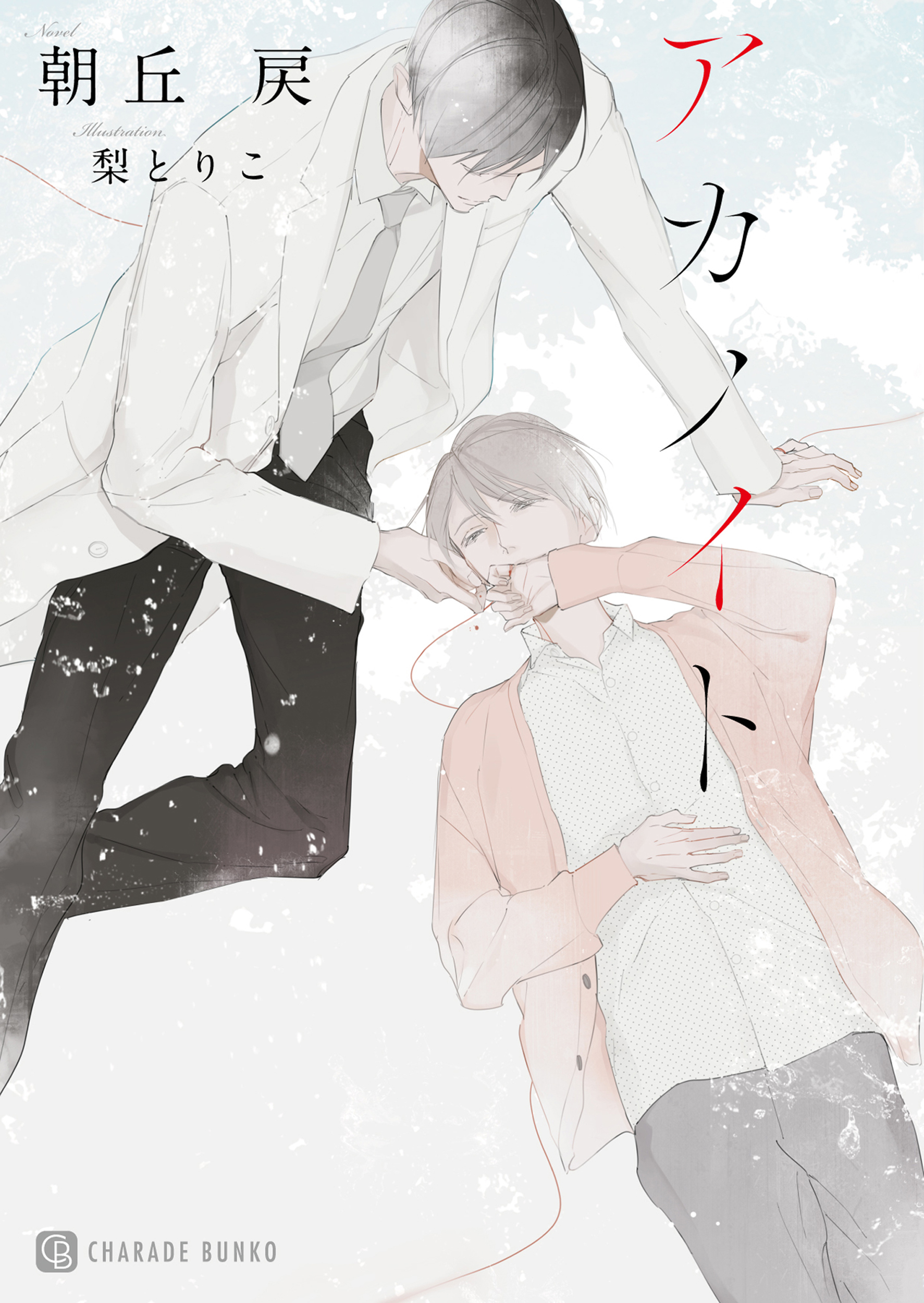 アカノイト【特別版】