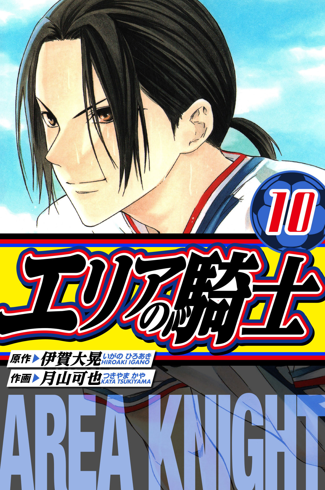エリアの騎士　愛蔵版　10