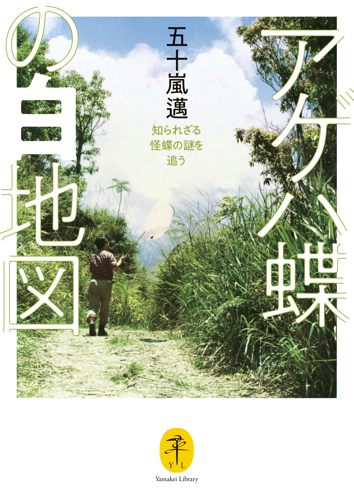 ヤマケイ文庫 アゲハ蝶の白地図 知られざる怪蝶の謎を追う