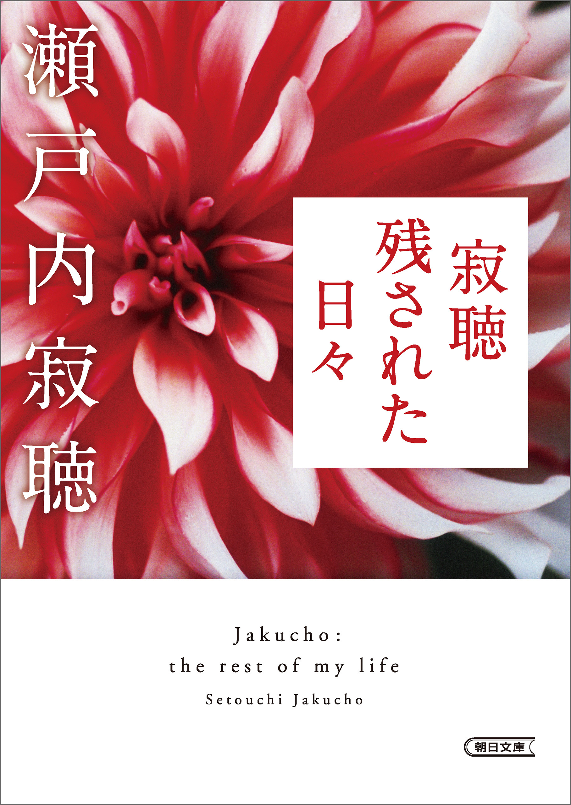 寂聴　残された日々