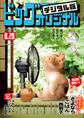 ビッグコミックオリジナル 2024年16号(2024年8月5日発売)
