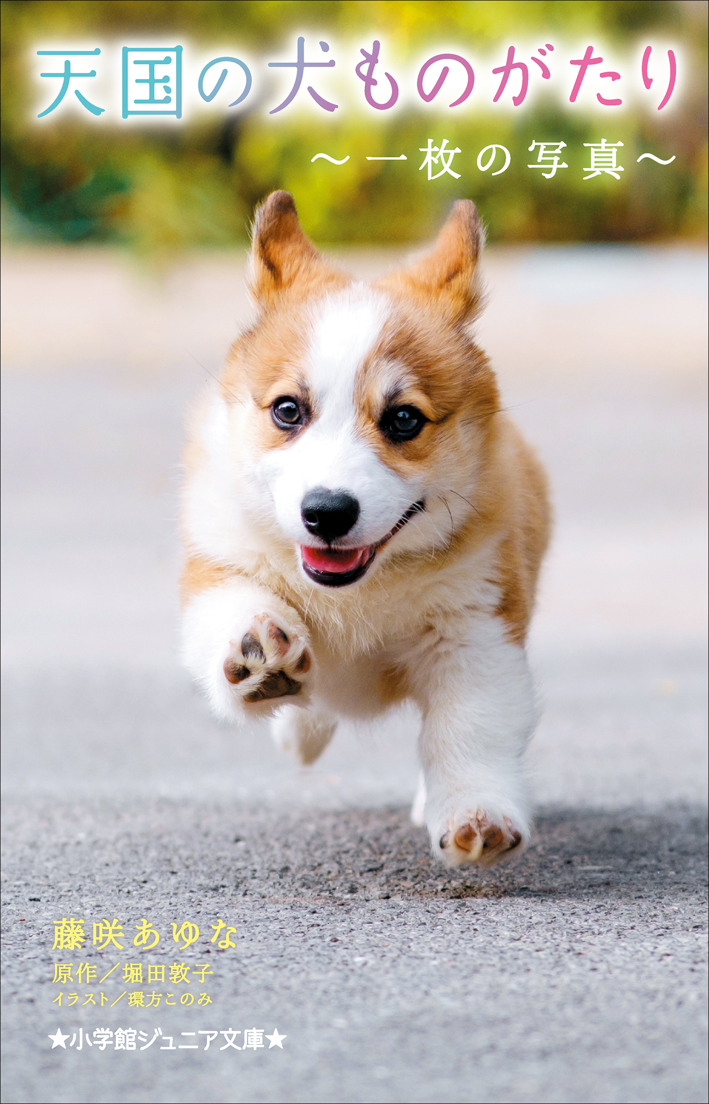 天国の犬ものがたり