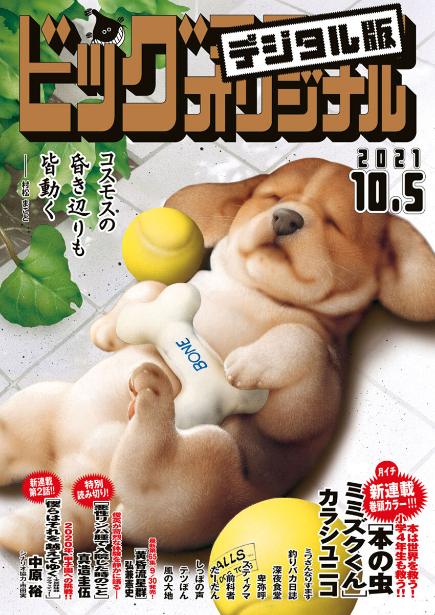 ビッグコミックオリジナル　2021年19号（2021年9月18日発売)