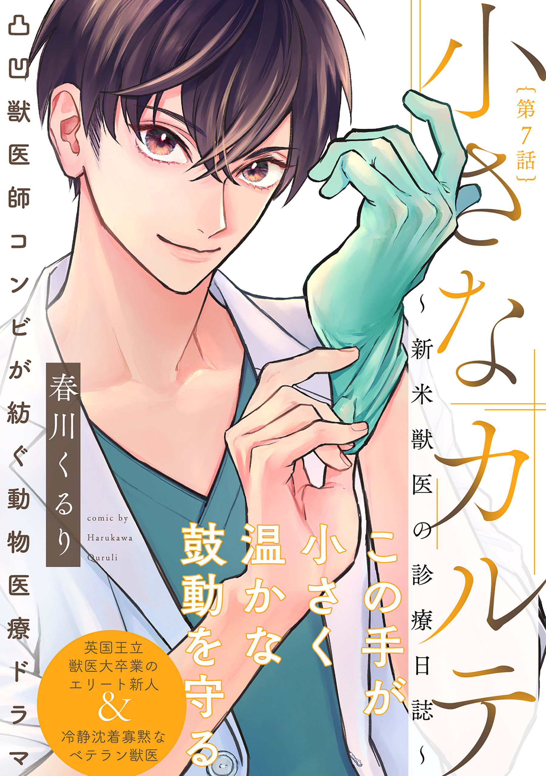 小さなカルテ～新米獣医の診療日誌～(7)