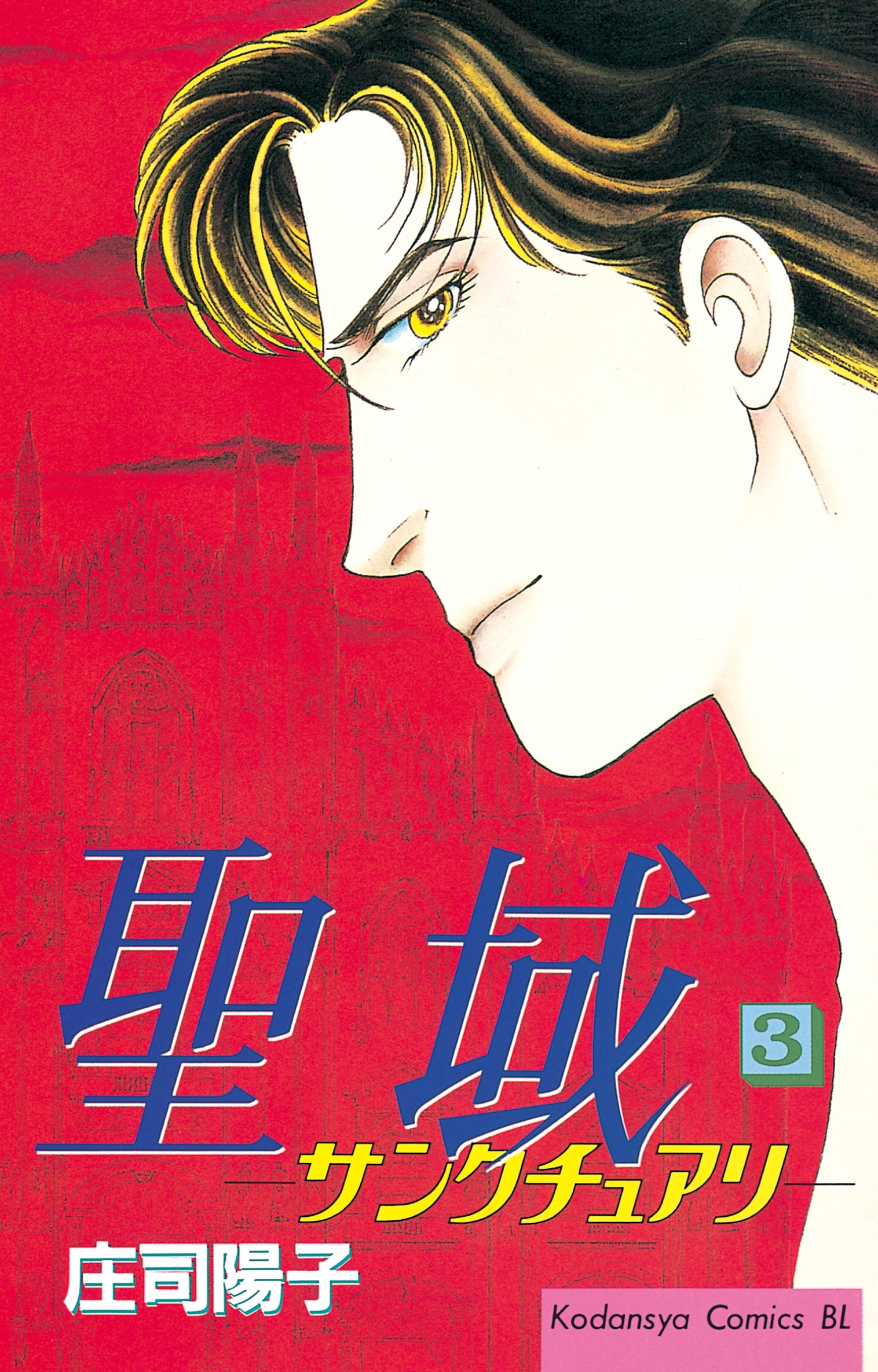 聖域－サンクチュアリ－（３）