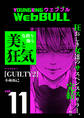 Web BULL11号
