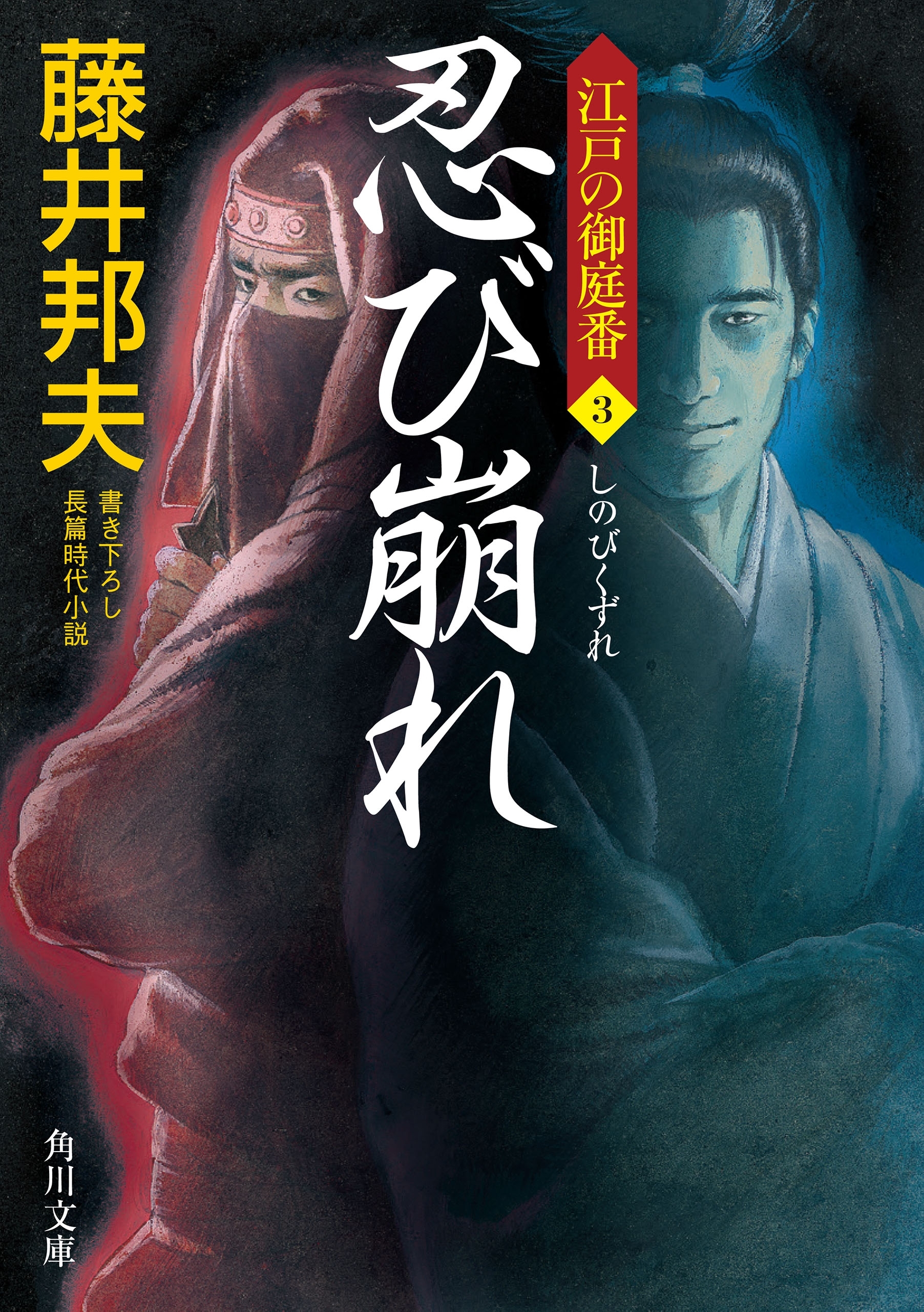 忍び崩れ　江戸の御庭番 ３