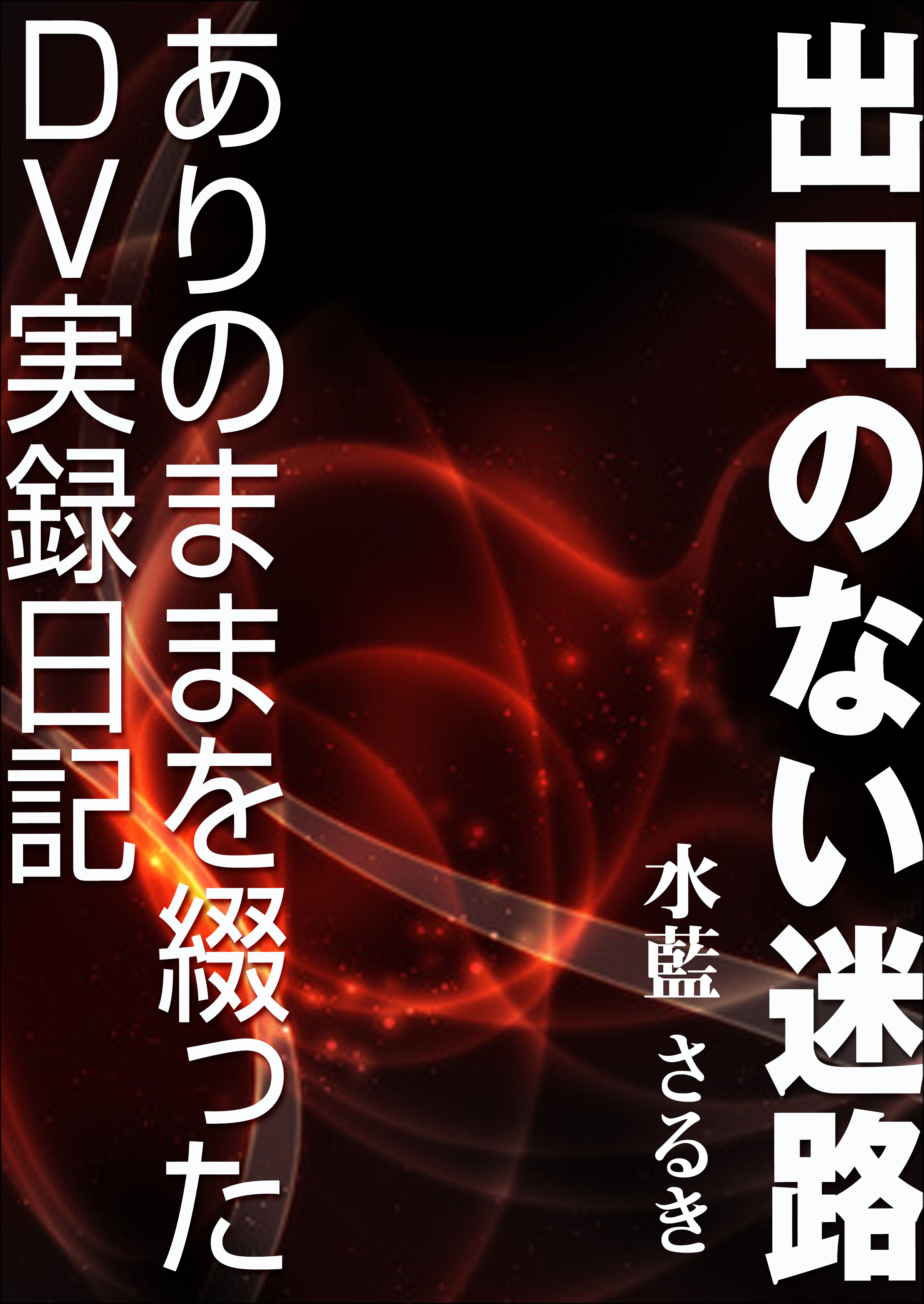 出口のない迷路～ありのままを綴ったDV実録日記～