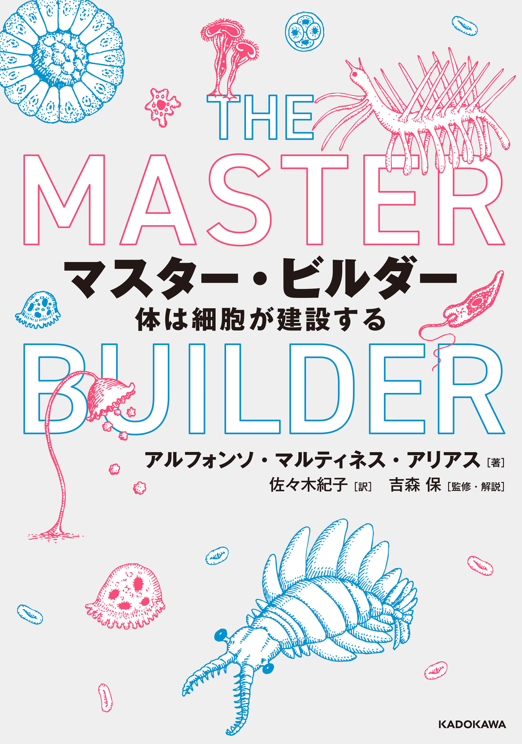 マスター・ビルダー　体は細胞が建設する