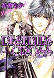 DESTINIES CROSS（１）