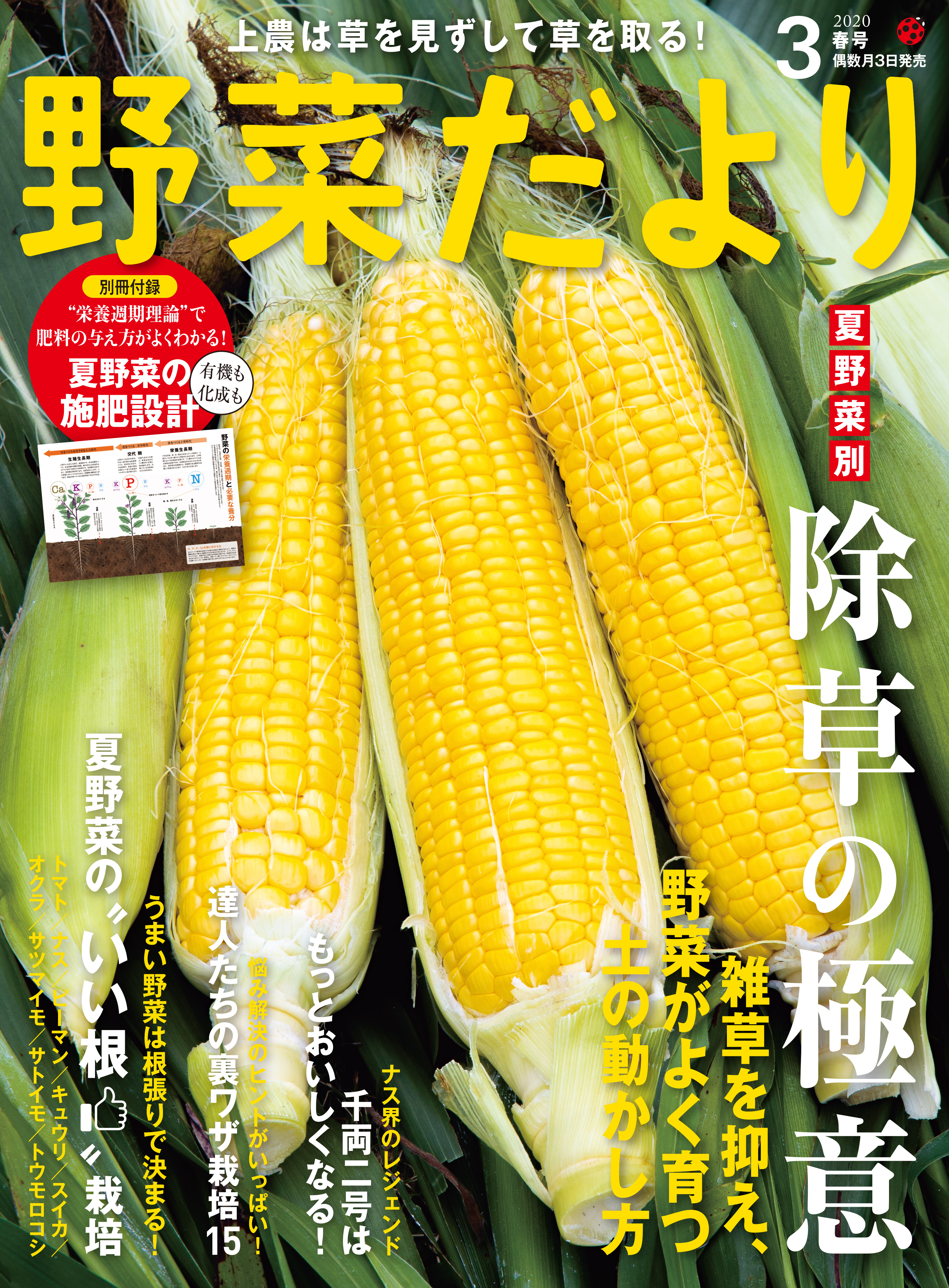 野菜だより2020年3月号