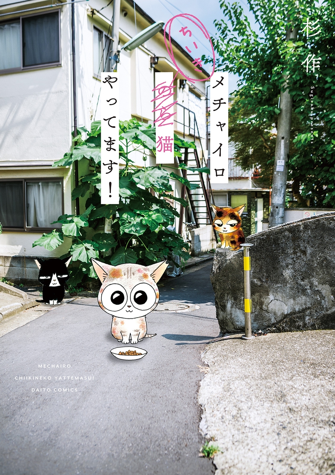 【期間限定　無料お試し版　閲覧期限2025年12月25日】メチャイロちいき猫やってます！