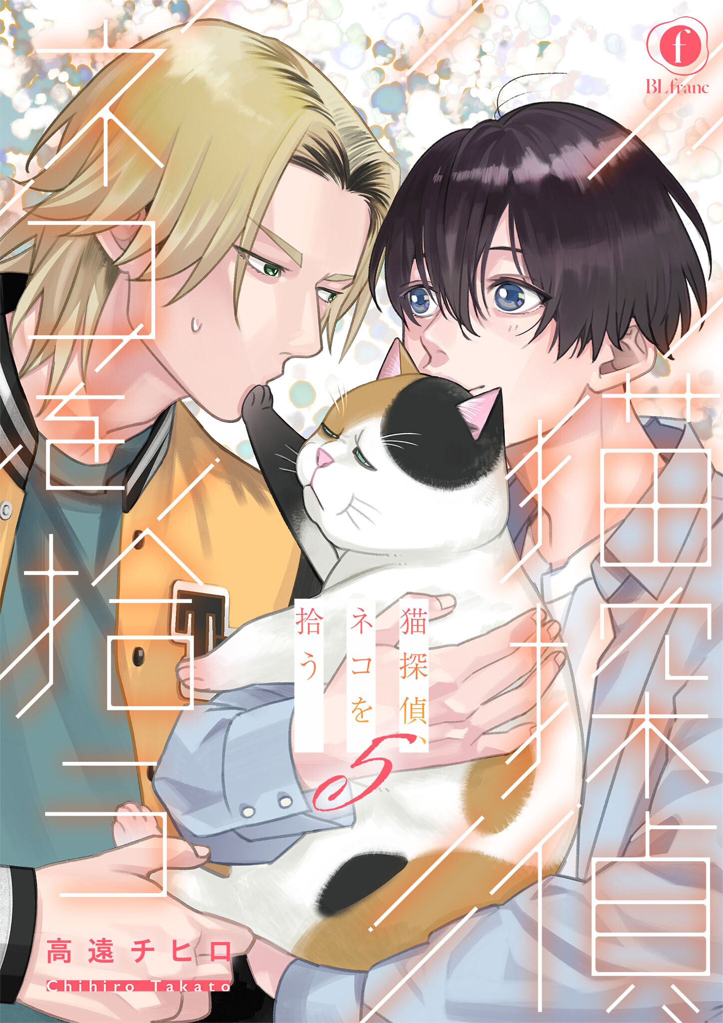 猫探偵、ネコを拾う　（5）