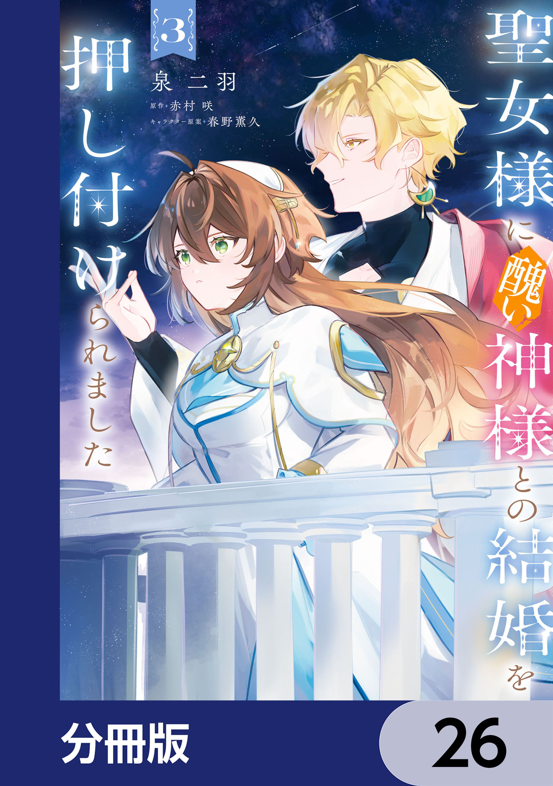 聖女様に醜い神様との結婚を押し付けられました【分冊版】　26