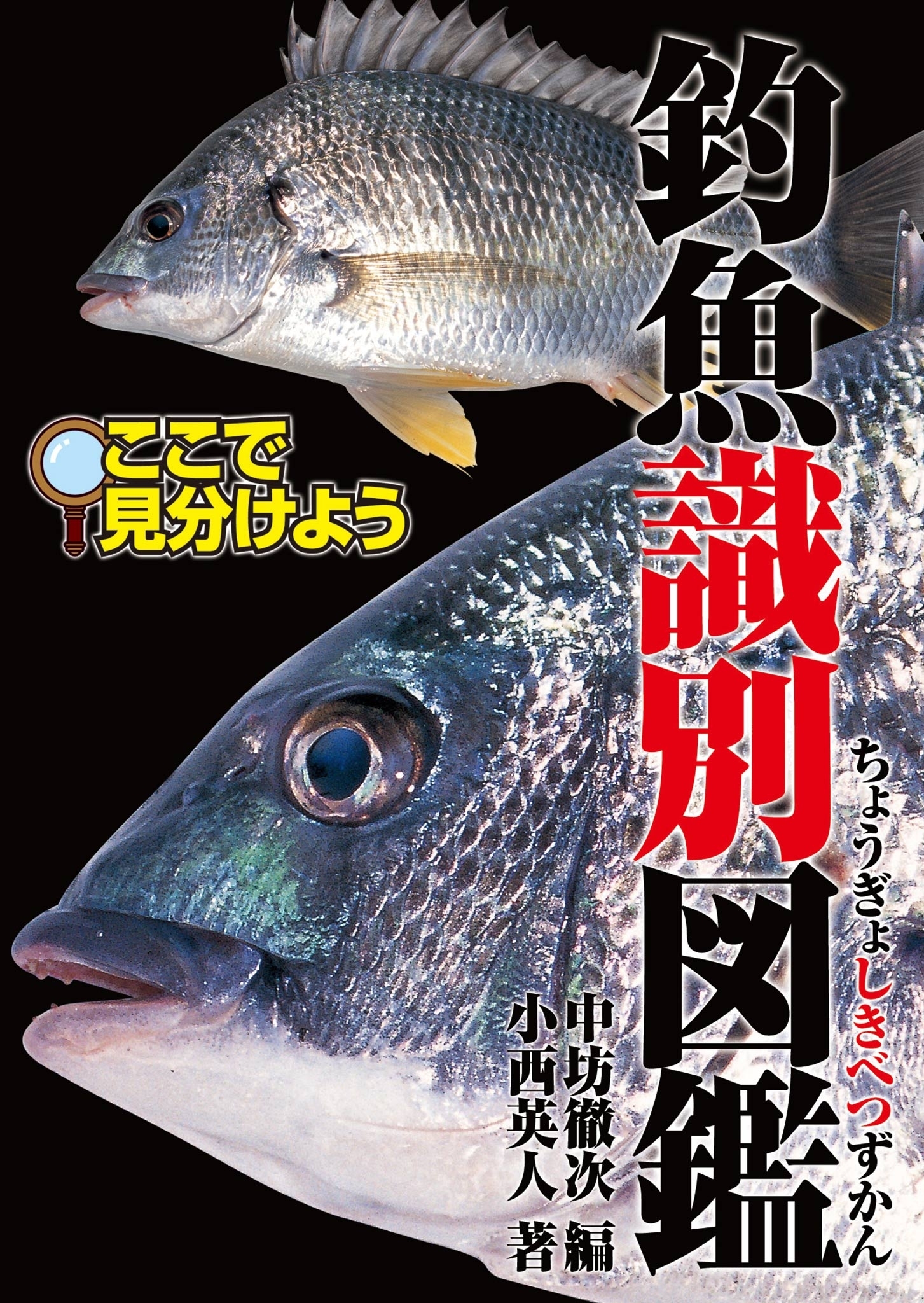 釣魚識別図鑑