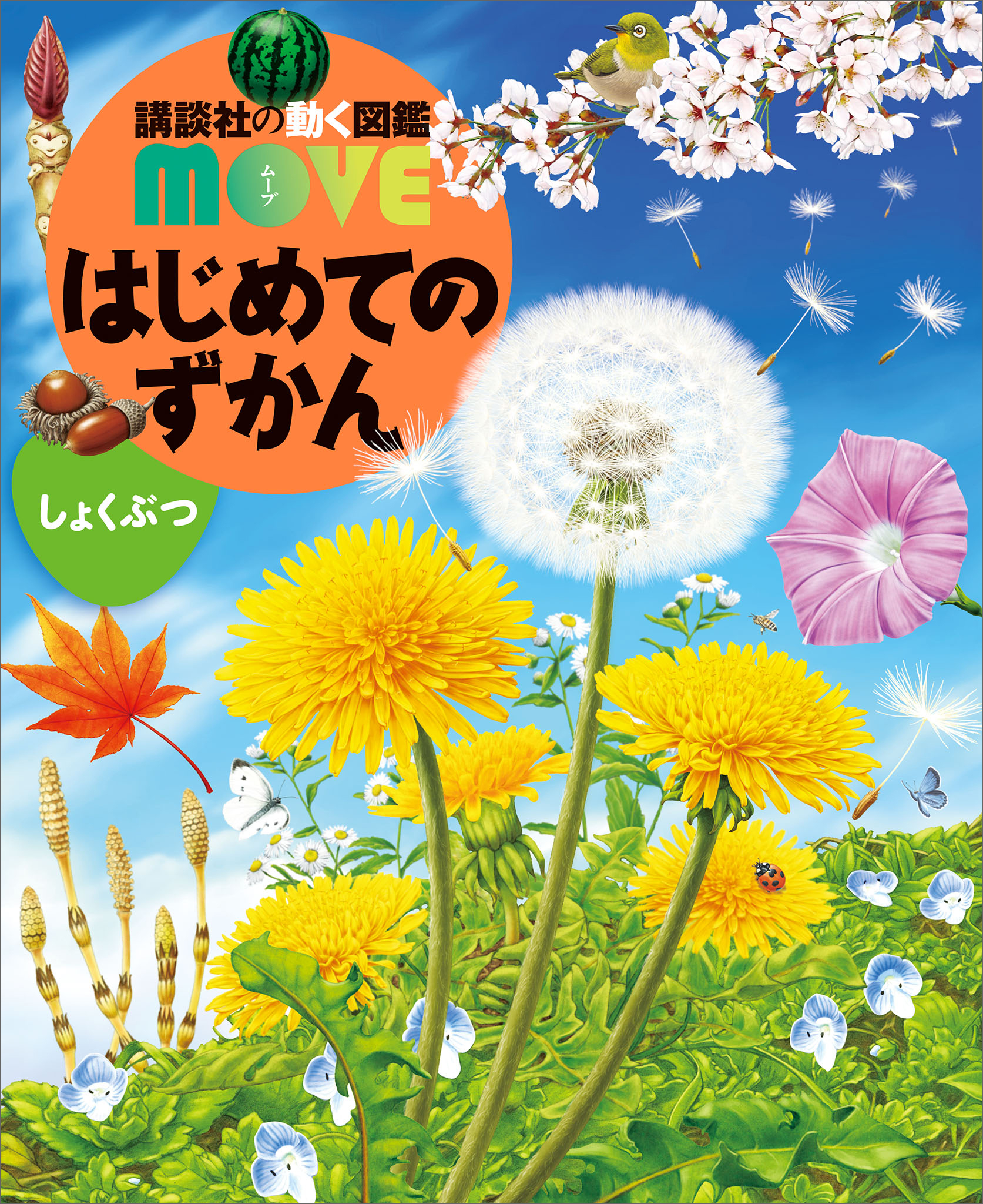 はじめてのずかん　しょくぶつ