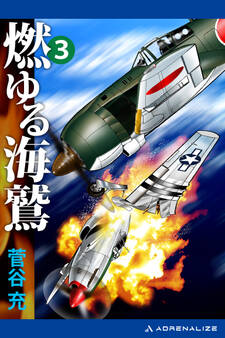 燃ゆる海鷲