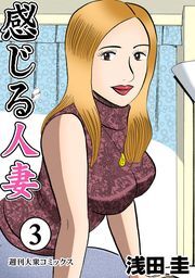 感じる人妻 ： 3