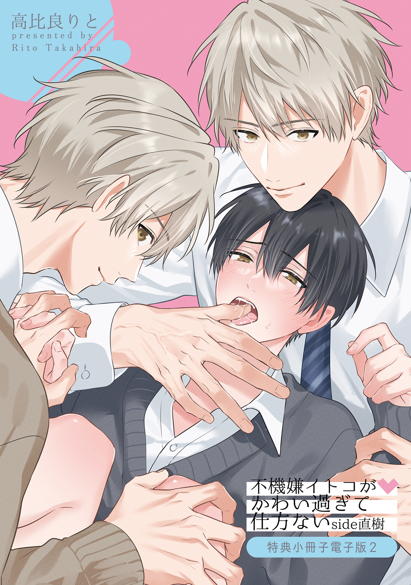 不機嫌イトコがかわい過ぎて仕方ない side直樹【特典小冊子電子版】