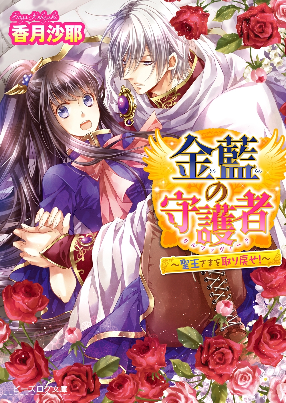 金藍の守護者2　～聖王さまを取り戻せ！～