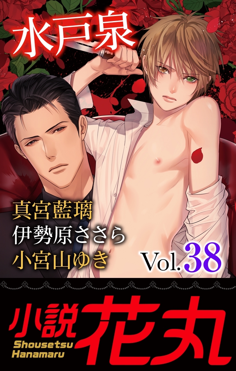 小説花丸 Vol.38