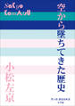 P+D BOOKS 空から墜ちてきた歴史