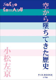 P+D BOOKS 空から墜ちてきた歴史