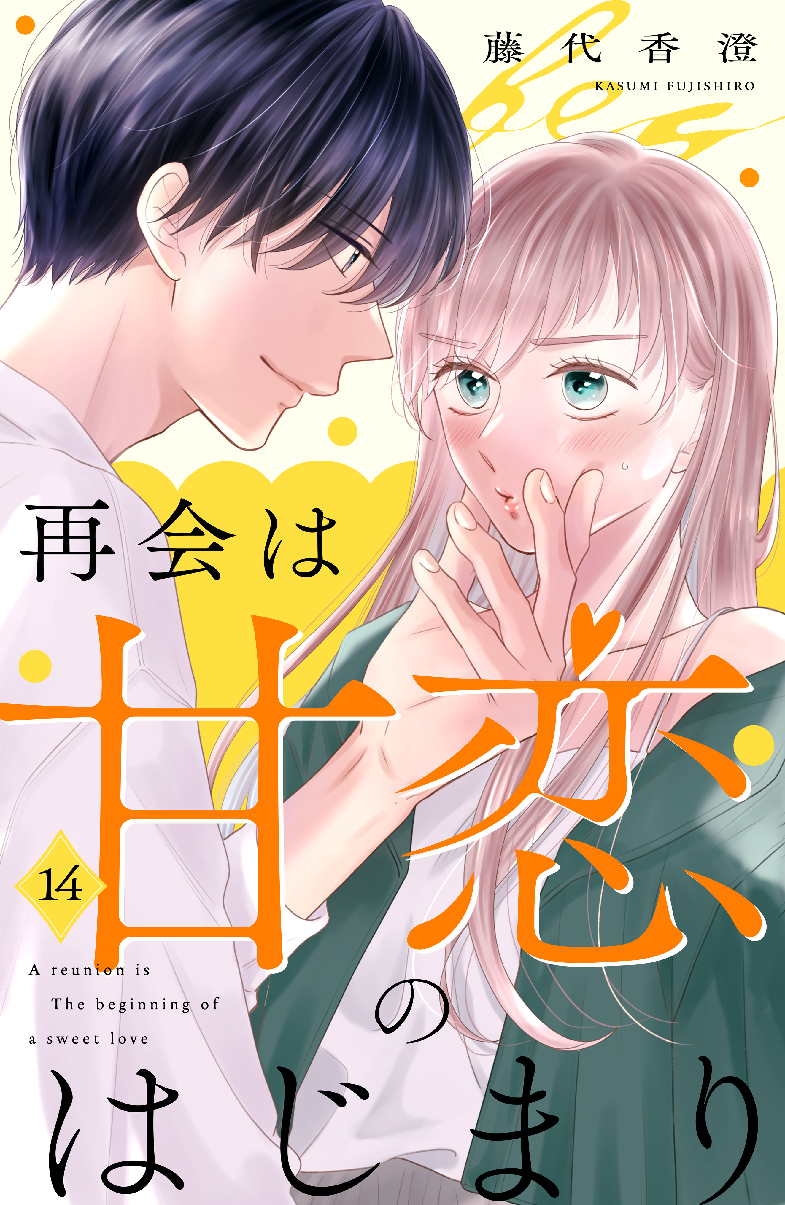 再会は甘恋のはじまり　分冊版（14）