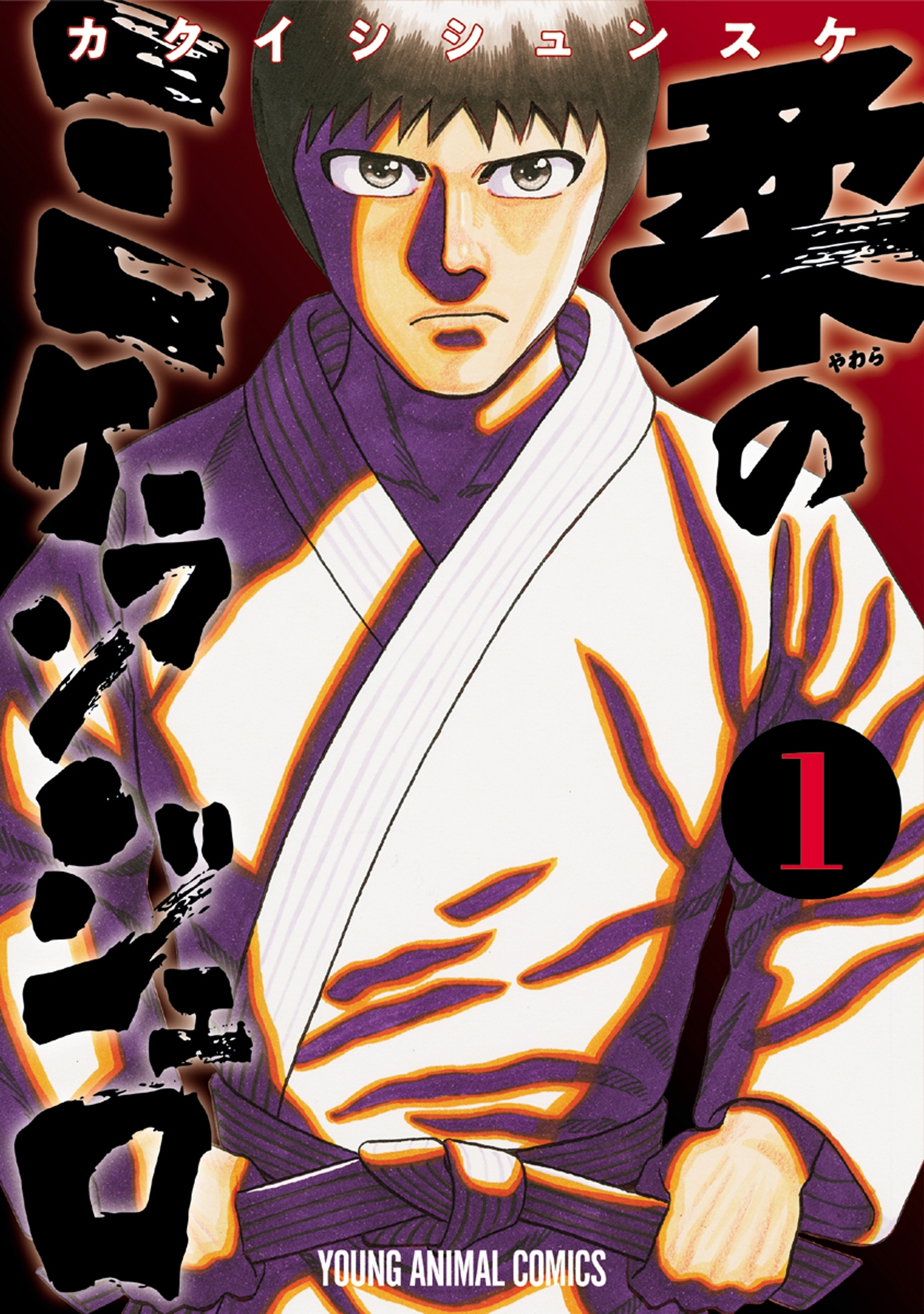 柔のミケランジェロ（１）