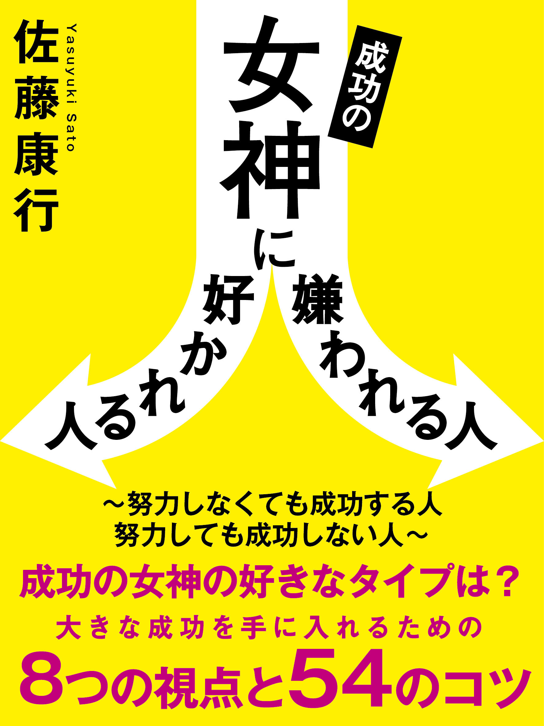 成功の女神に好かれる人嫌われる人　～努力しなくても成功する人　努力しても成功しない人～