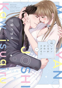 元ヤン上司がかわいすぎる!!【電子限定漫画付き】