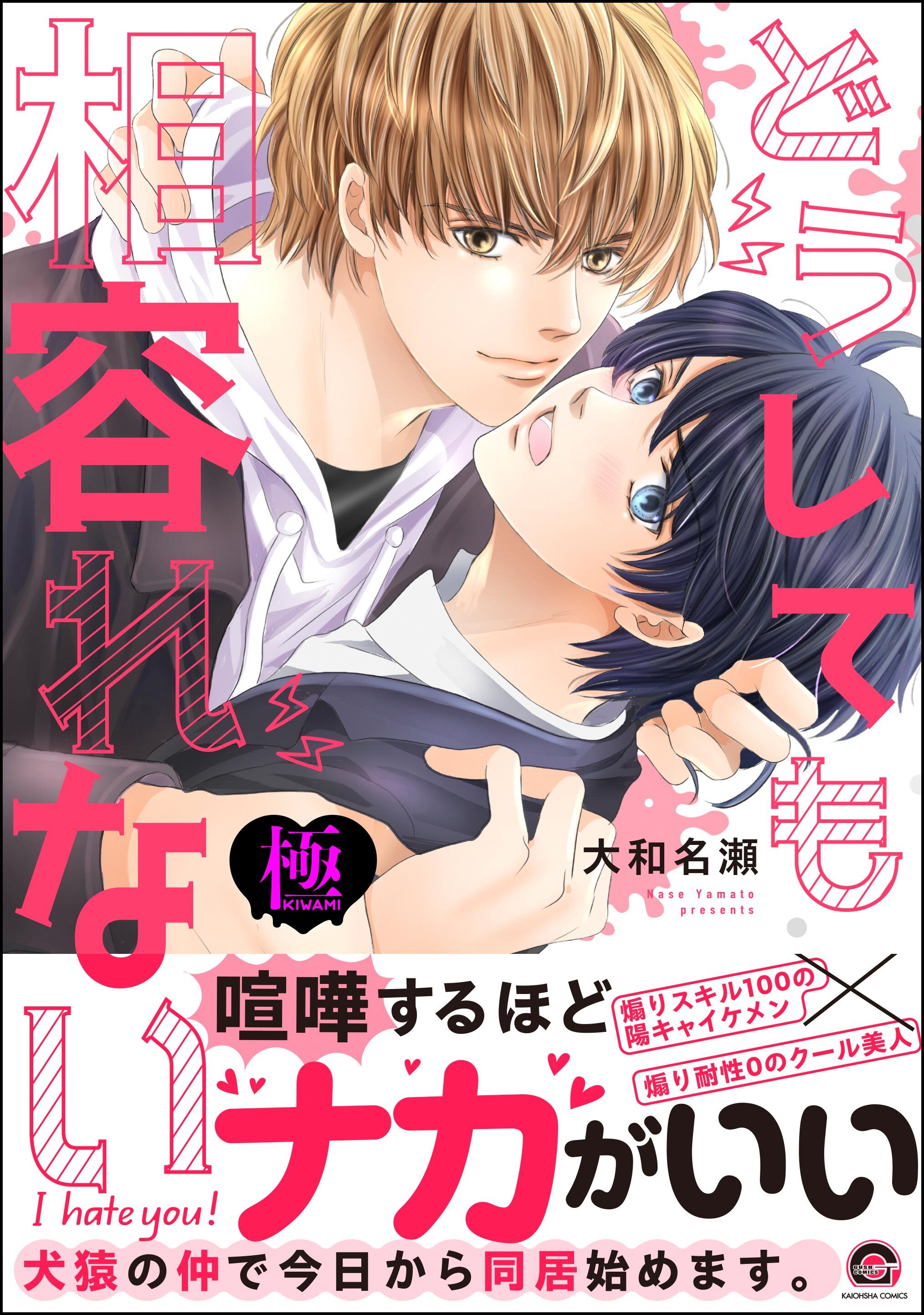 どうしても相容れない【極】