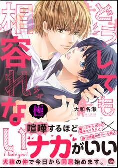 どうしても相容れない【極】